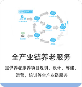 全產(chǎn)業(yè)鏈養(yǎng)老服務(wù) 集團(tuán)集地產(chǎn)、醫(yī)療、照護(hù)、銷(xiāo)售等多產(chǎn)業(yè)聯(lián)動(dòng)